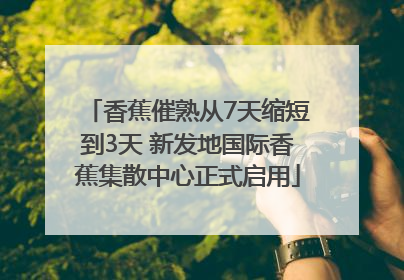 香蕉催熟从7天缩短到3天 新发地国际香蕉集散中心正式启用